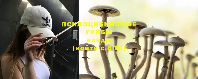 Псилоцибиновые грибы MAGIC MUSHROOMS  Анадырь 